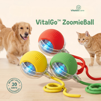VitalGo™ ZoomieBall 🐾